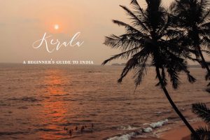 Kerala Blog Express all about rosalilla