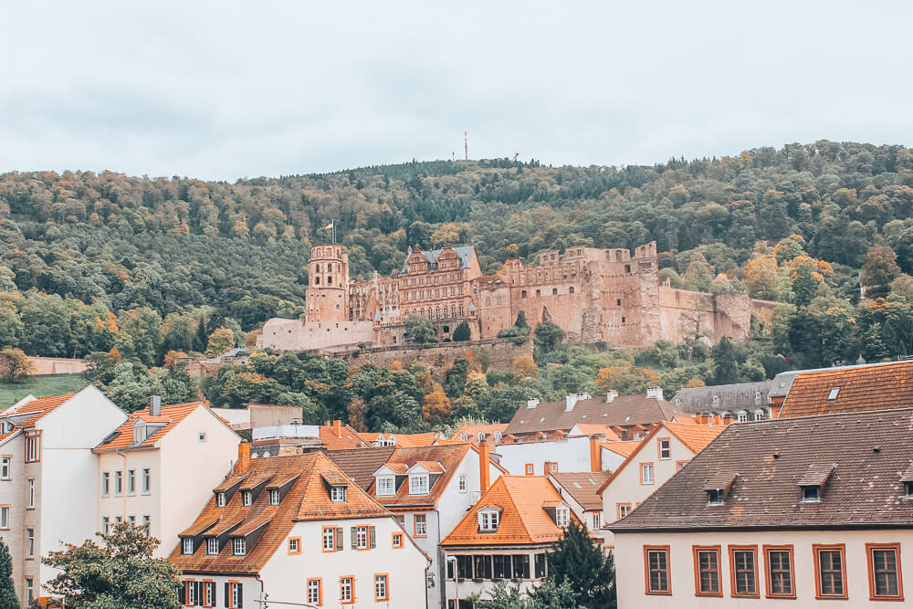 Heidelberg castle in the city centre of Heidelberg Germany