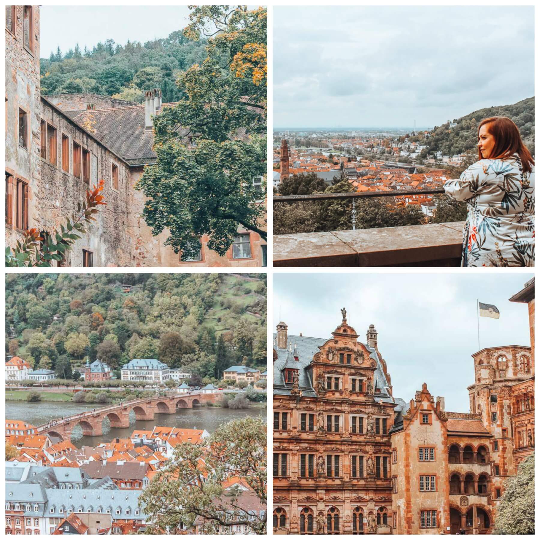 Collection of images from Heidelberg Germany