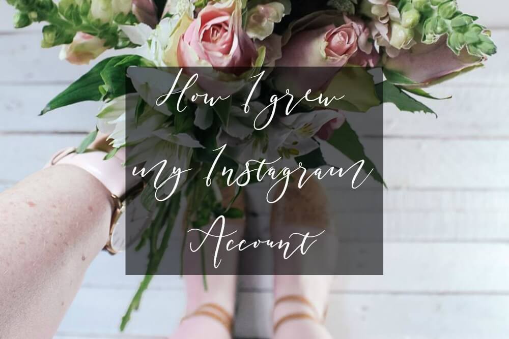 How I grew my Instagram account all about RosaLilla