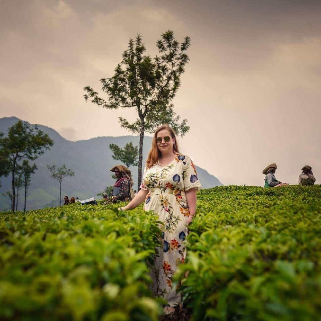 Tea Plantations at Munnar Kerala