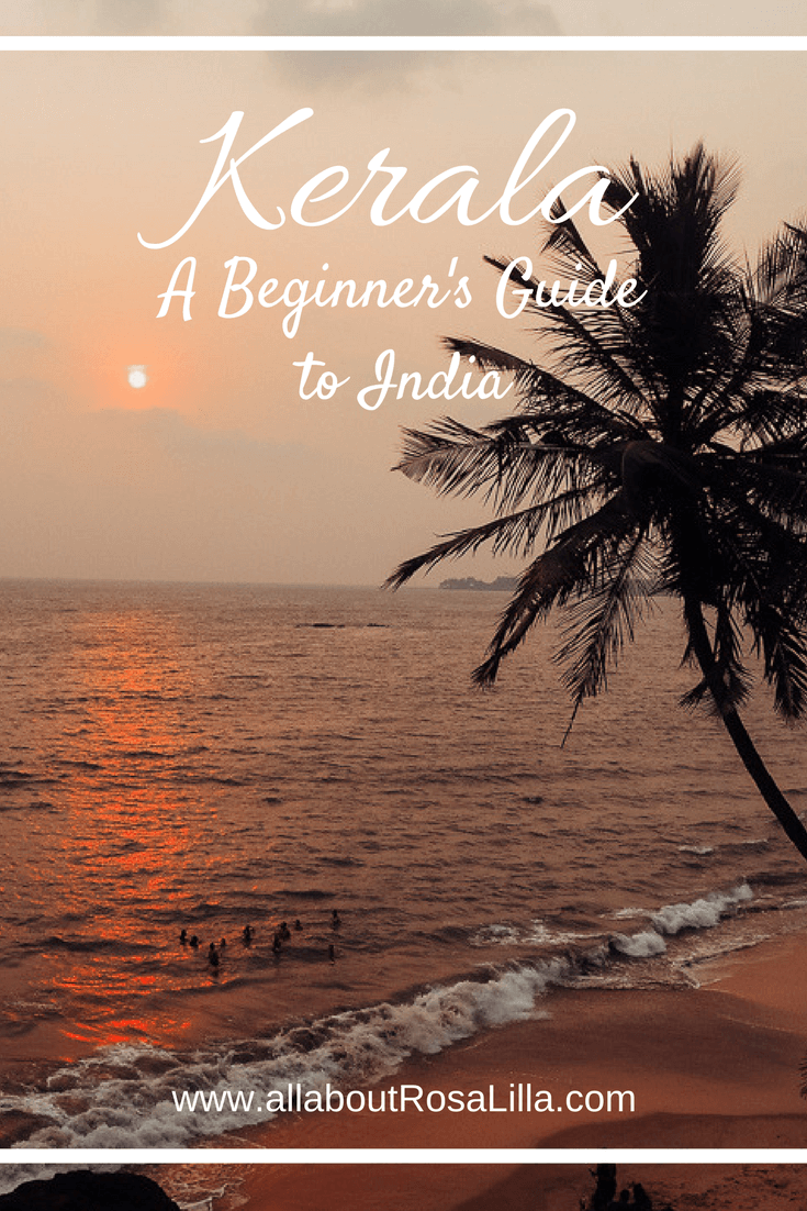 Kerala. A beginner's guide to india. Going to India, I was a total beginner. Not only had I never been to India before, I had never even been to this side of the world. The moment I stepped off the plane my senses went into overload. The heat, the smell of spices, the buzz of people talking and the constant beeping of car horns. This place was alive!
