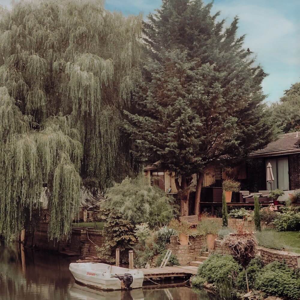 Beautiful weeping willow on the banks of the river Avon in Bath