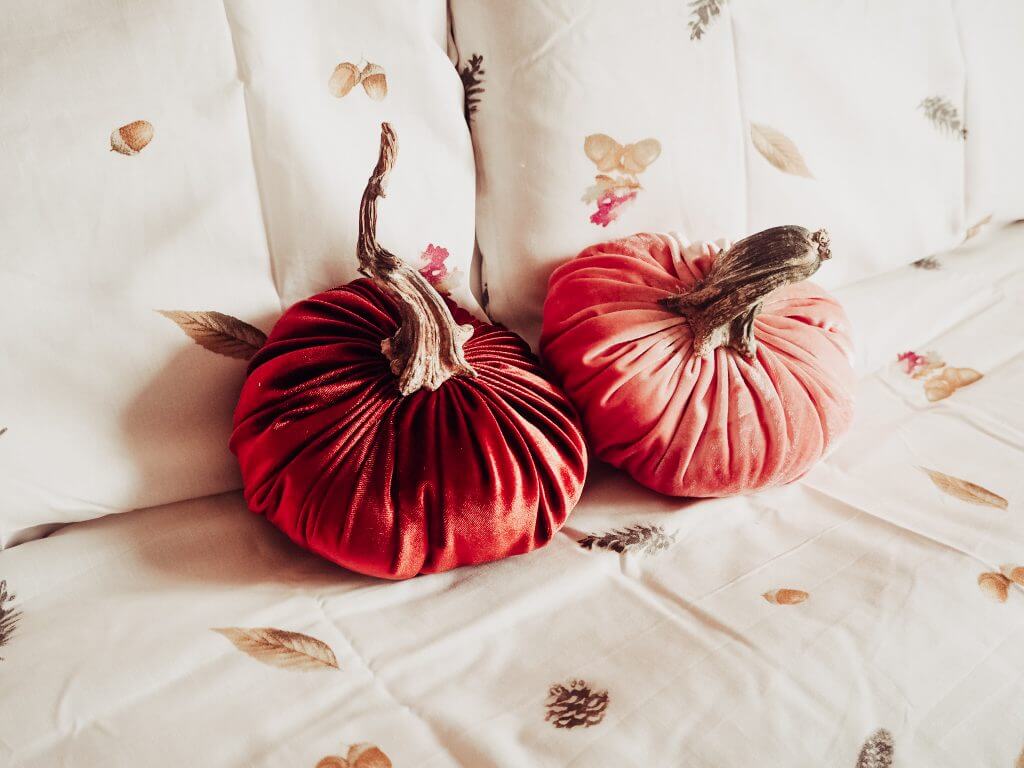 Pumpkins and autumn decor