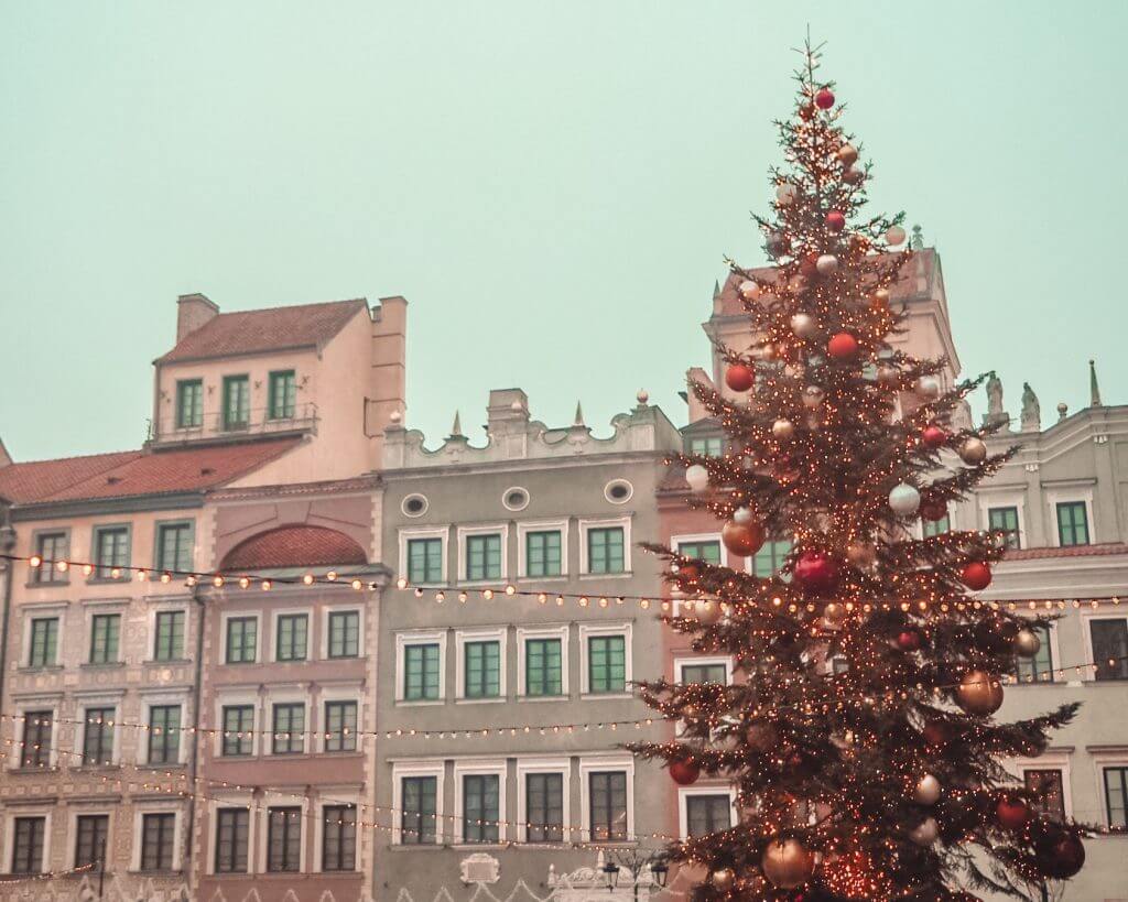 Christmas tree lit up in Warsaw Old Town Square