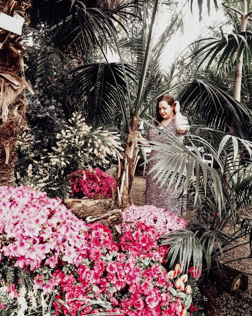 Exotic plants at botanical garden in Vienna