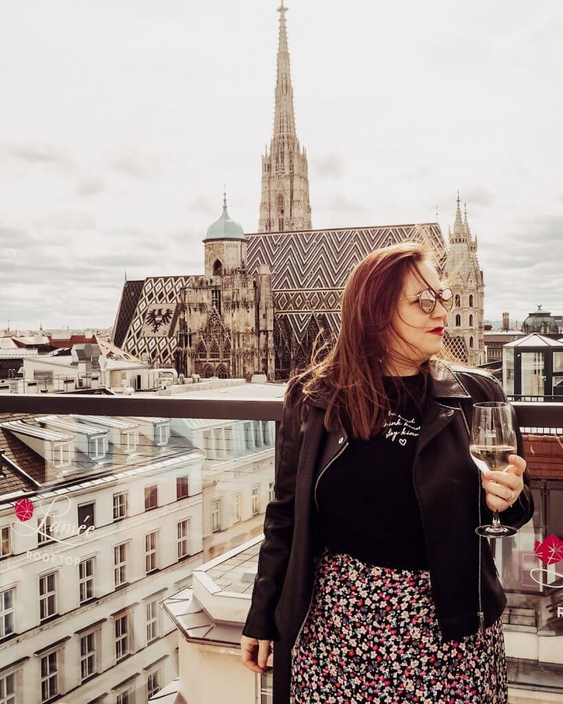 Rooftop views of Vienna