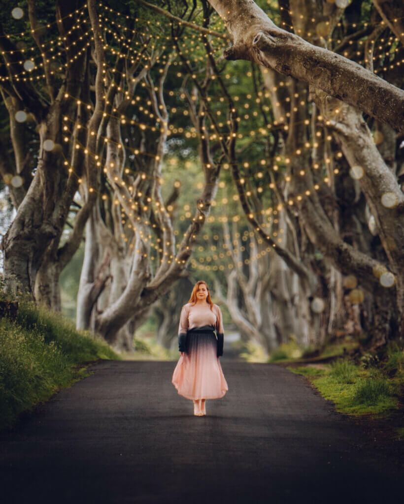 Twinkly lights in trees at the dark hedges