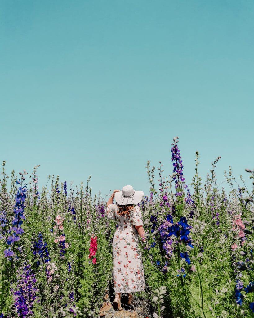 Woman in a floral dress and straw hat standing in a field of flowers in The Cotswolds
