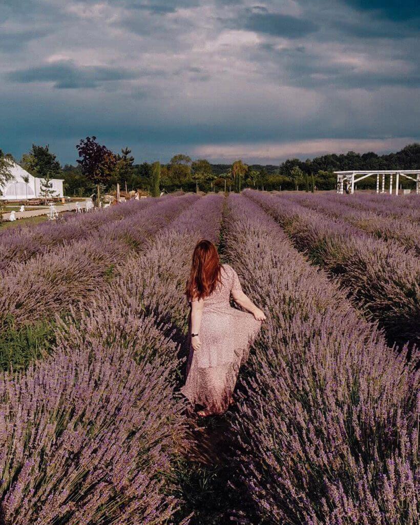 Woman standing in a lavender field in Romania