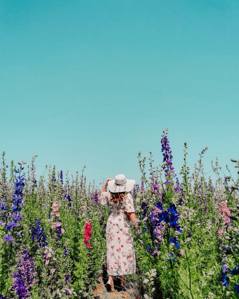 Woman standing in a Flower field in the Cotswolds. She is wearing a floppy hat and a floral sun dress.