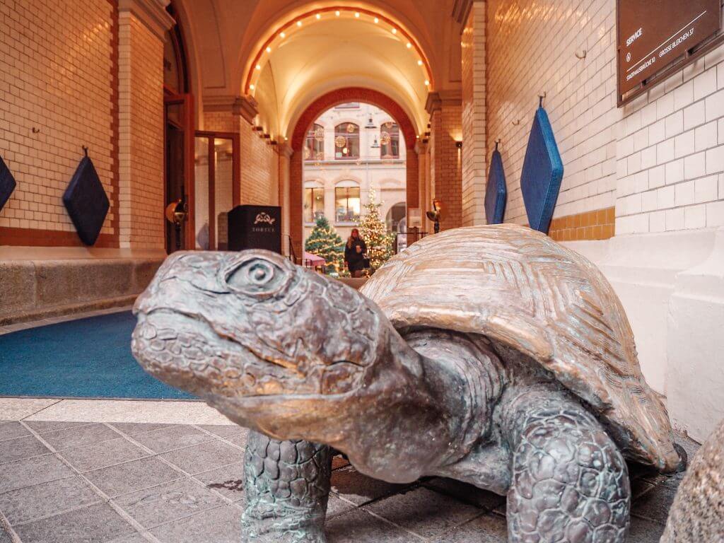 The Turtle at the Tortue Hotel Hamburg