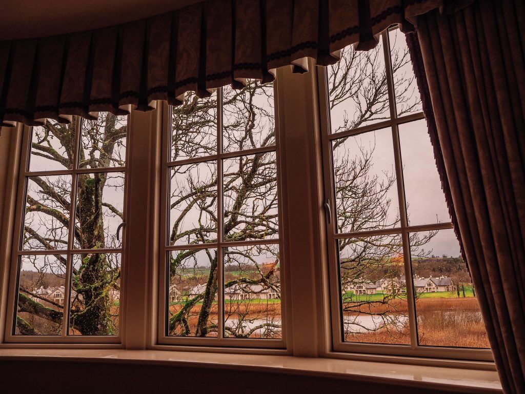 View of trees, reeds and a lake fom a hotel window