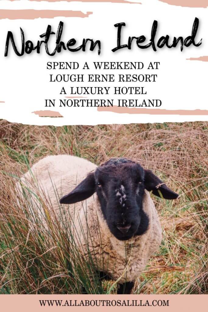 A black and white sheep in grass with text overlay Northern Ireland, spend a weekend at Lough Erne resort, a luxury hotel in Northern Ireland