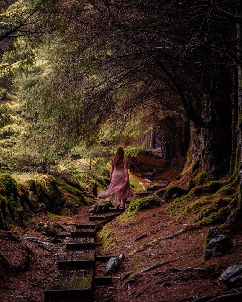 Woman in a purple dress walking through the magical forest in Ballinastoe woods in Wicklow Ireland
