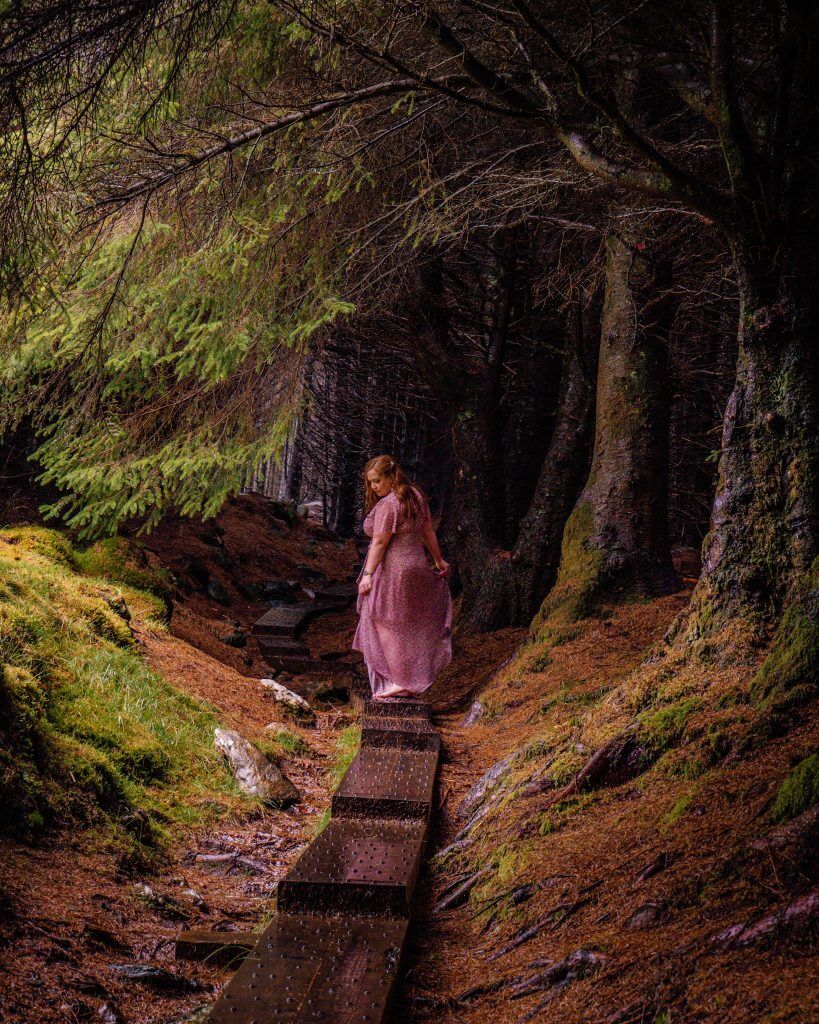 Fairytale moments in Ballinastoe woods in County Wicklow Ireland