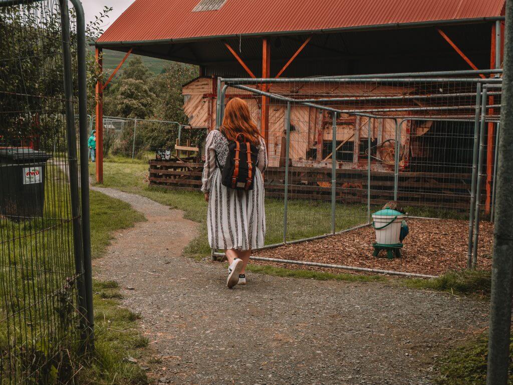 woman with red hair exploring Greenan Maze and Farm on her Irish staycation