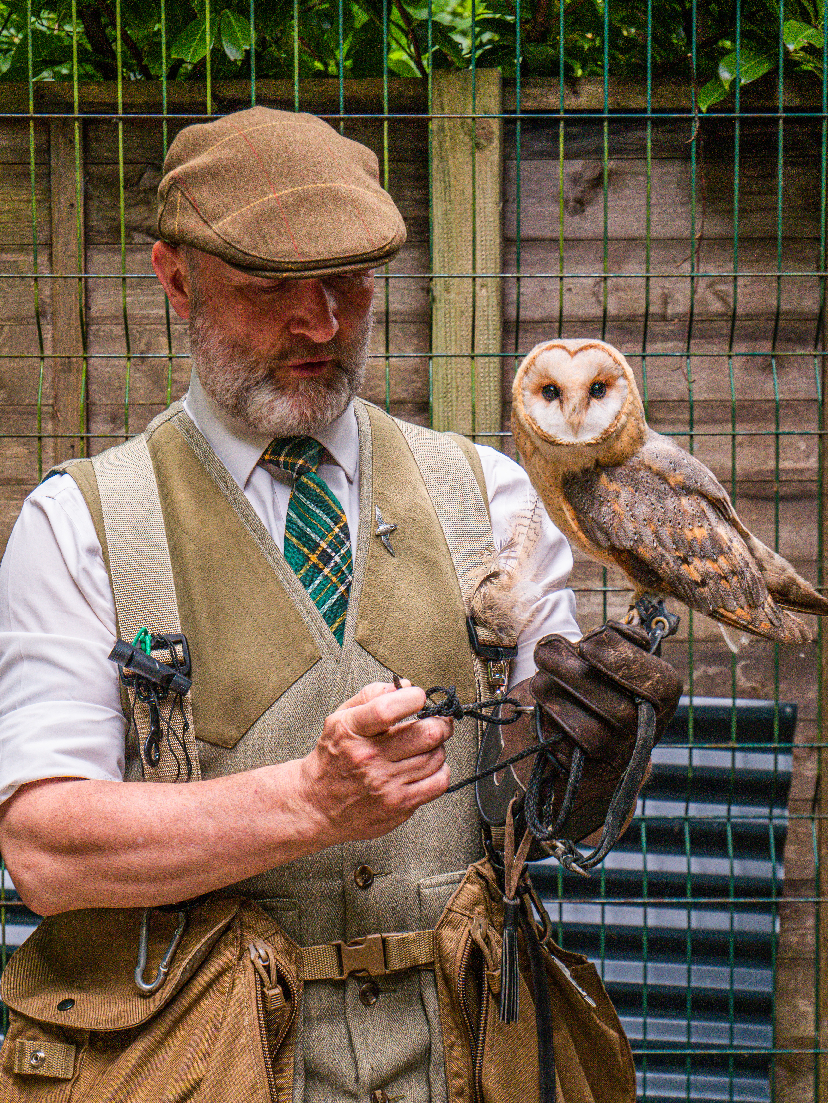 Falconer holding a barn owl at Mount Falcon 