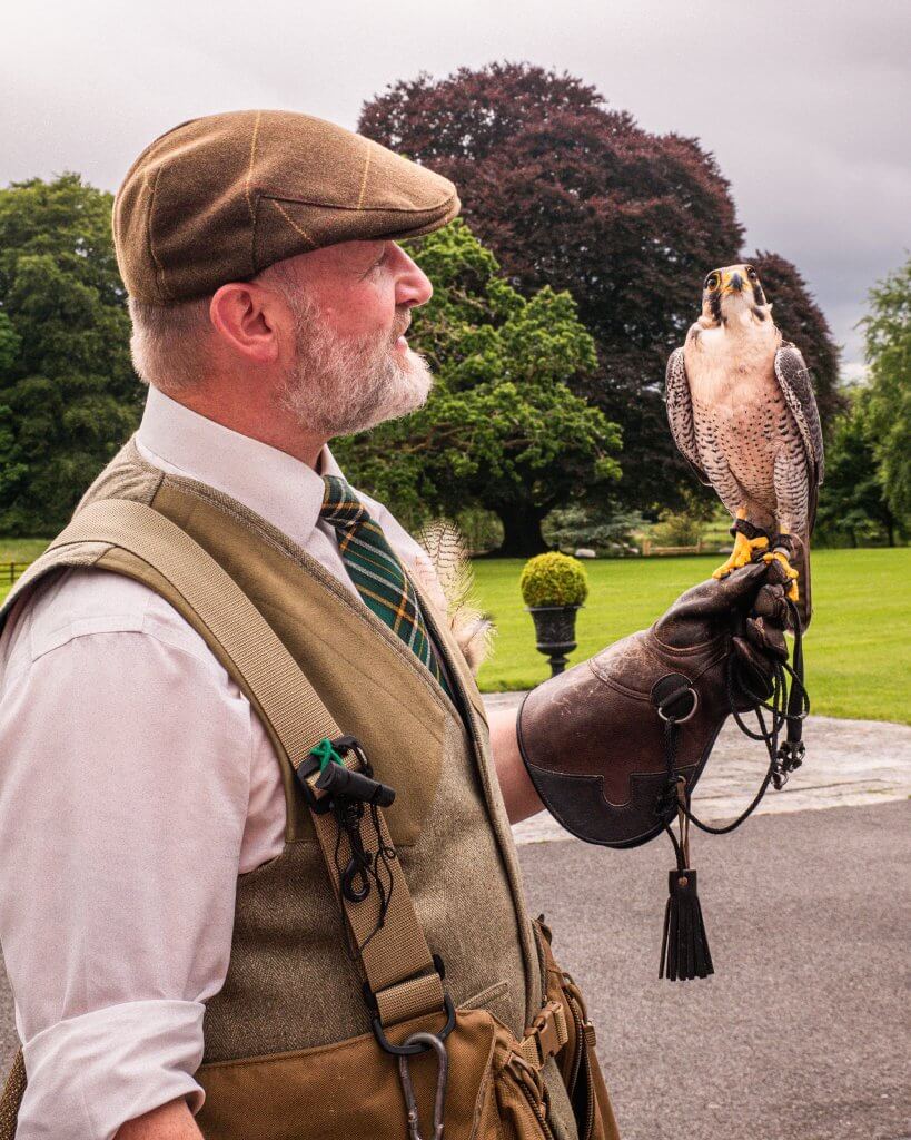 Faloner holding a peregrine falcon
