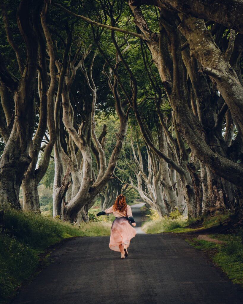 Woman in a pink dress walking along the kings road , the dark hedges a game of thrones filming location in Northern Ireland