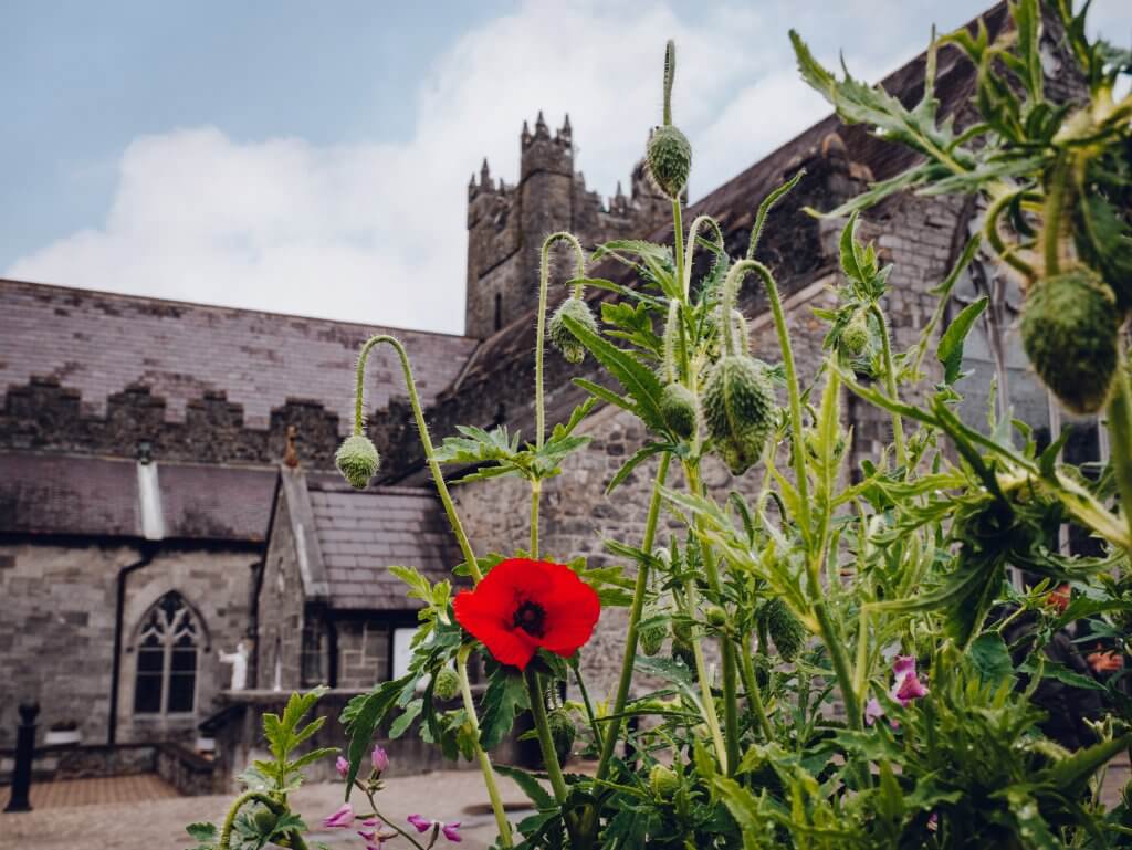 The Black Abbey in Kilkenny Ireland
