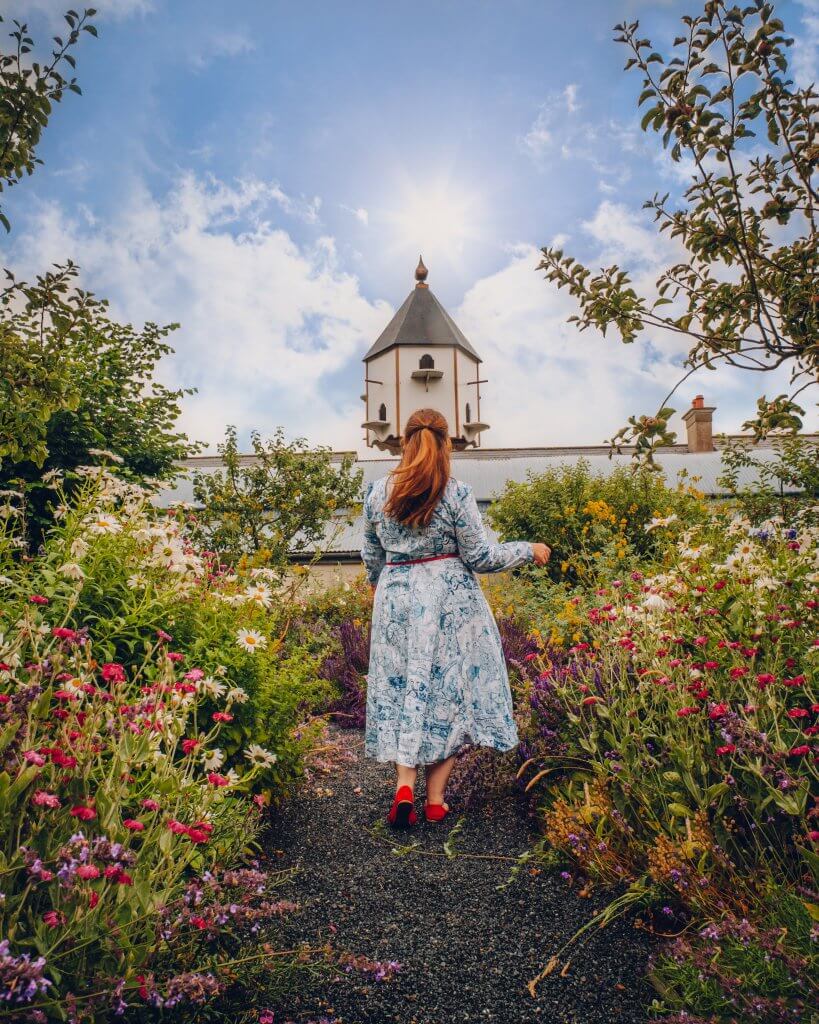 Woman in a blue dress walking in the floral gardens at Rothe house in Kilkenny Ireland