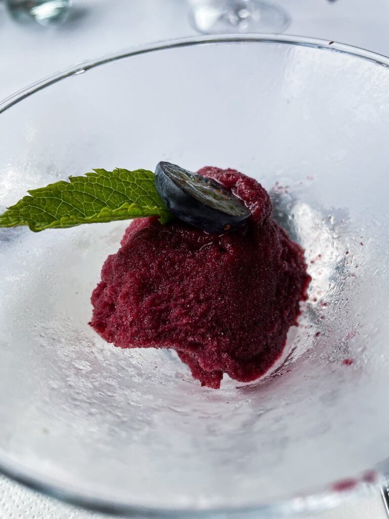 Blueberry sorbet at the Lyrath Estate and spa in Kilkenny Ireland