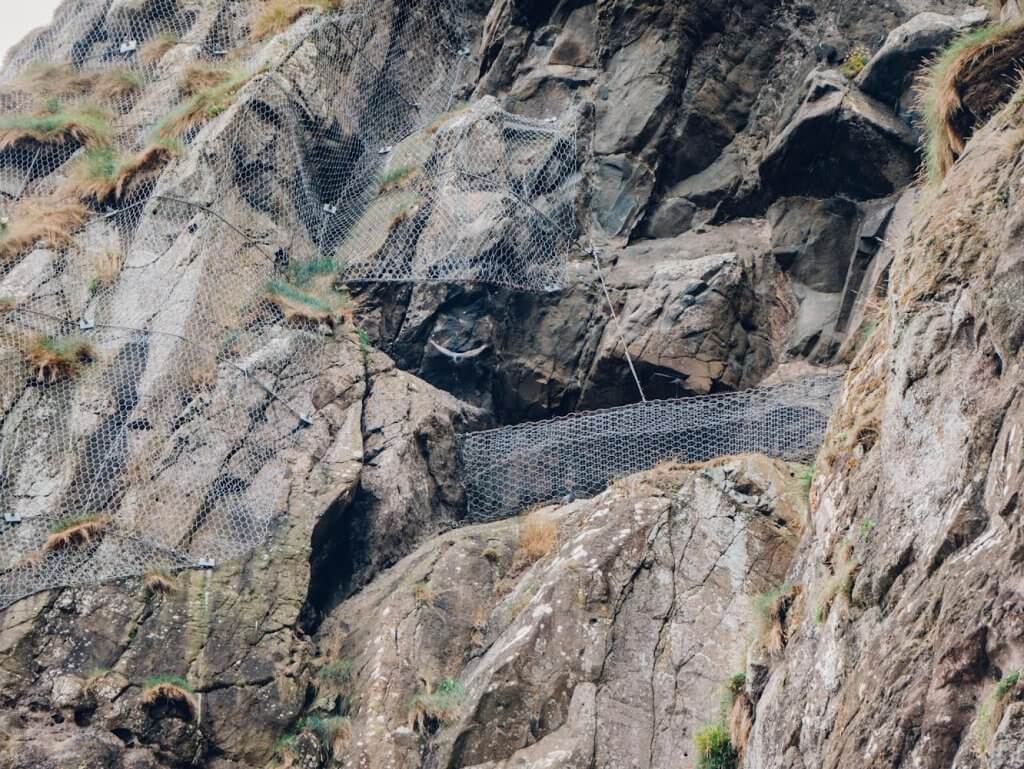 The Gobbins Cliff Path one of Antrim's hidden gems