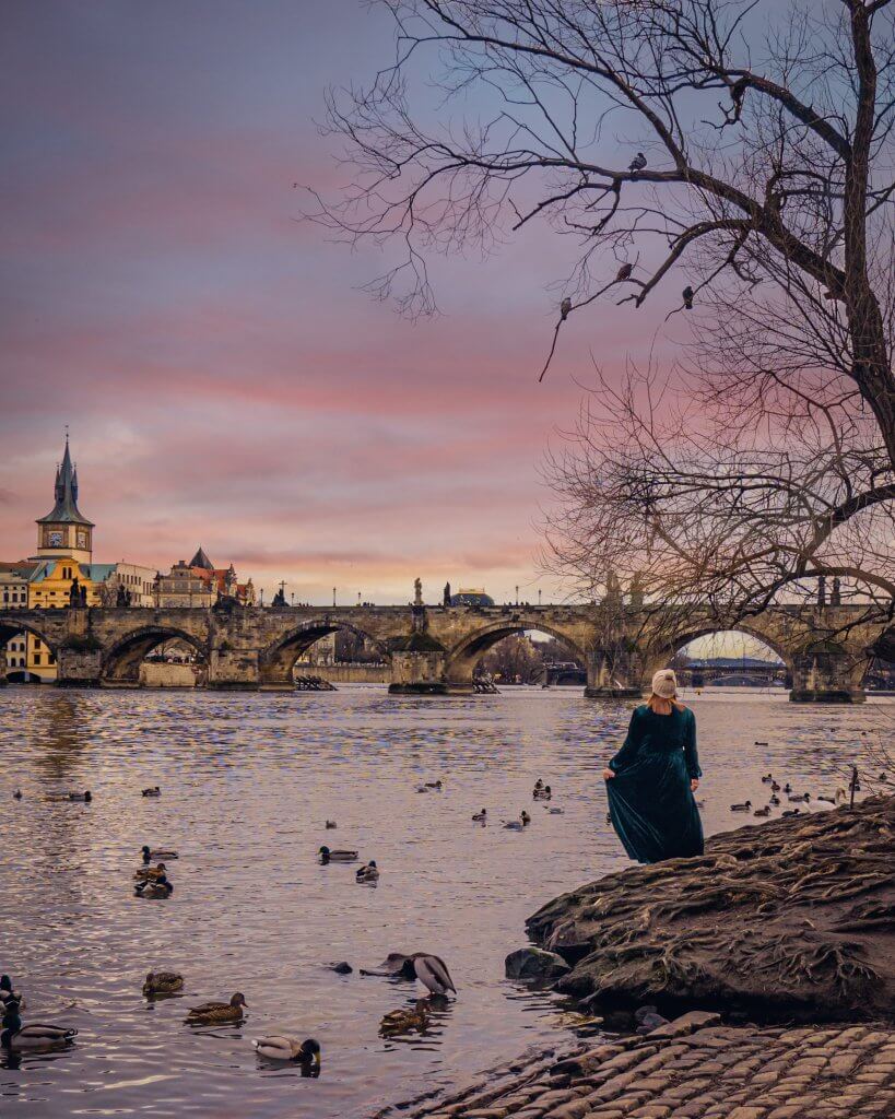 Woman in a long green velvet dress feeding the swans at Charles Bridge in Prague