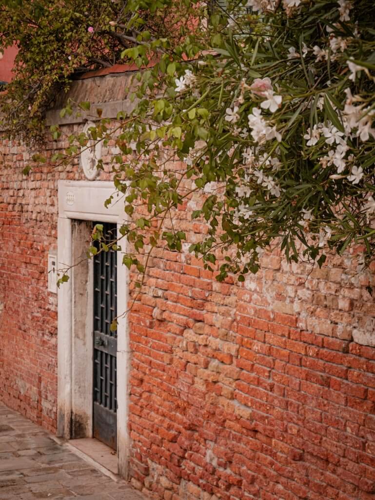 Red brick wall in Cannaregio Venice with overhanging flowers