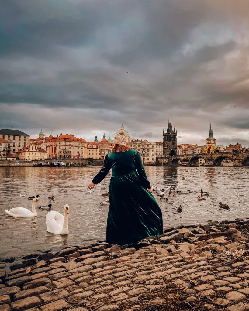 Woman in a long green velvet dress feeding swans at the Vtlava River in Prague with Charles Bridge in the background