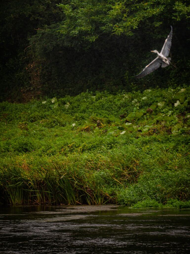 In in flight over the River Suir in Tipperary Ireland