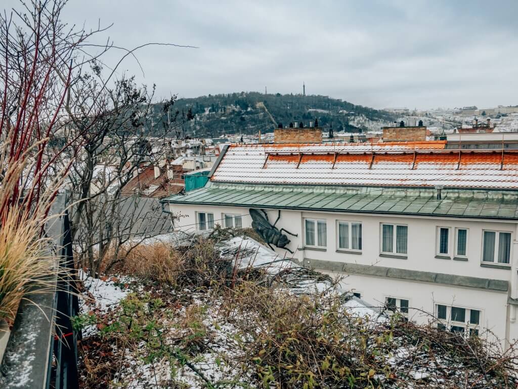 Rooftop views of Prague city 