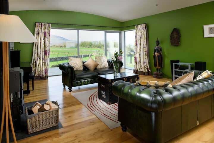 Living room in Ealu AirBnB in Ireland