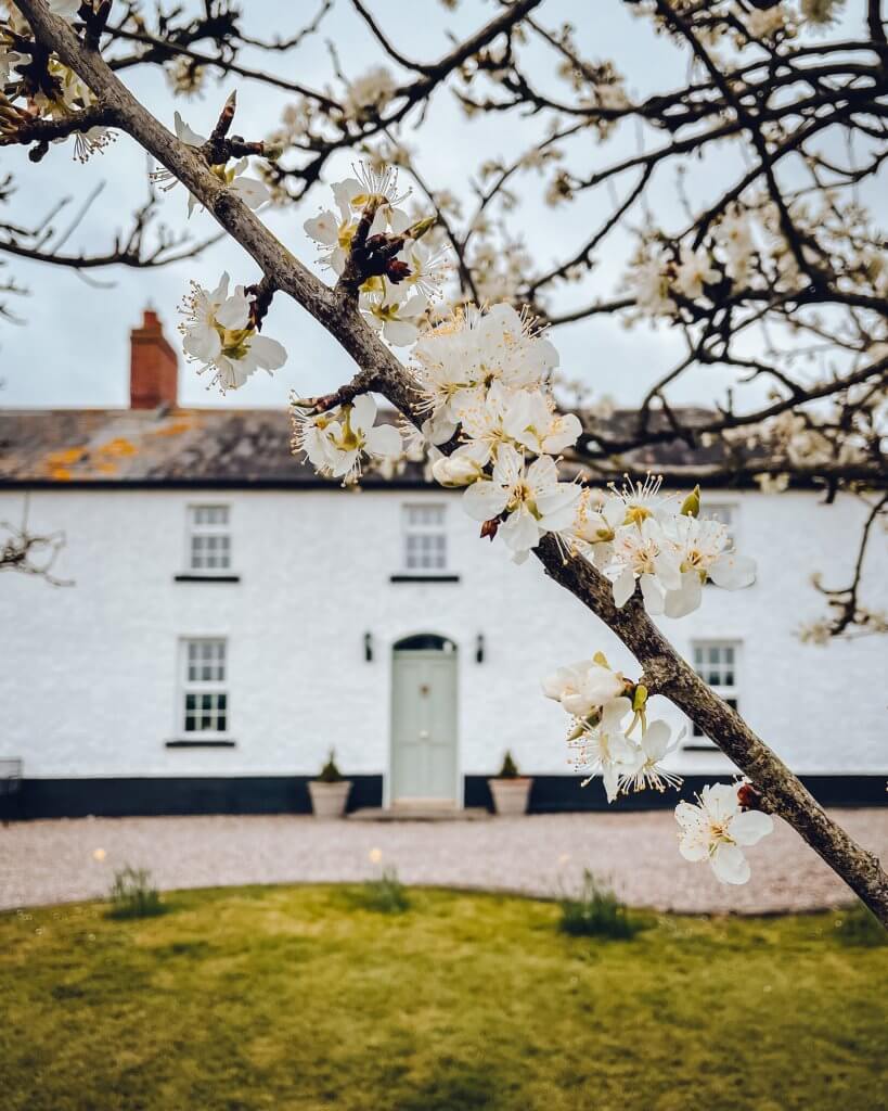 Darley Grange one of the best AirBnB's in Ireland for groups and large families