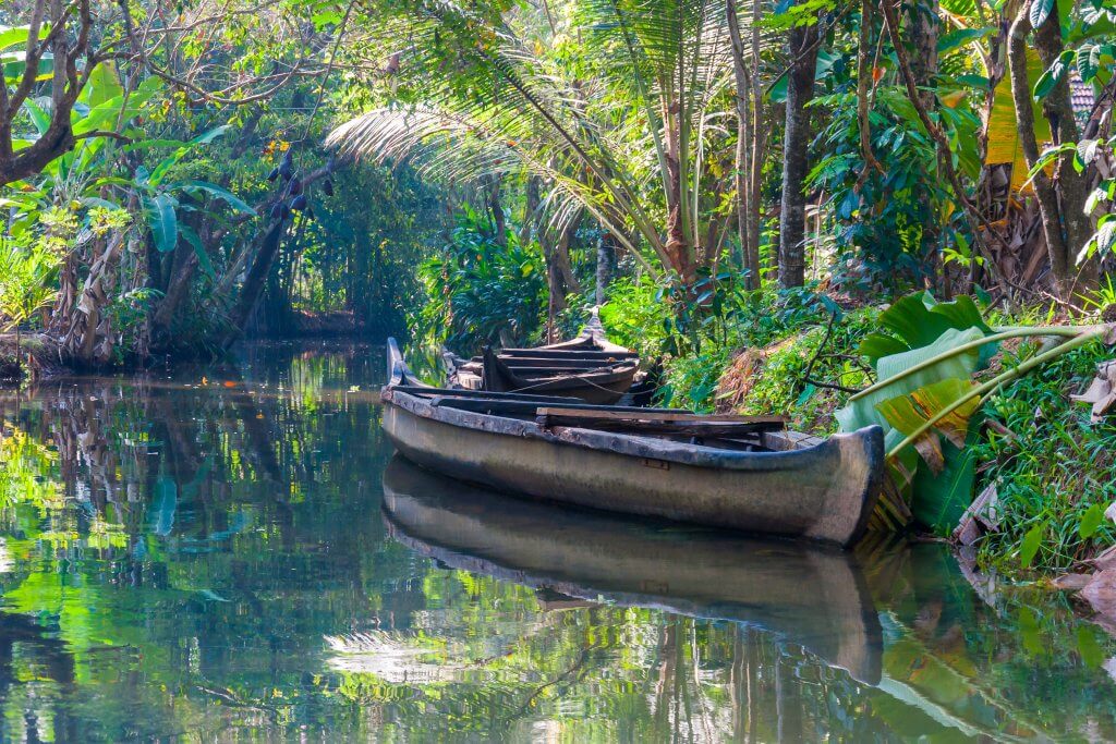 Boats in Kerala India