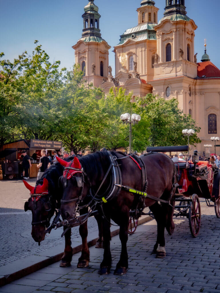 Horses in front of St Nicholas Church in old town square Prague.
