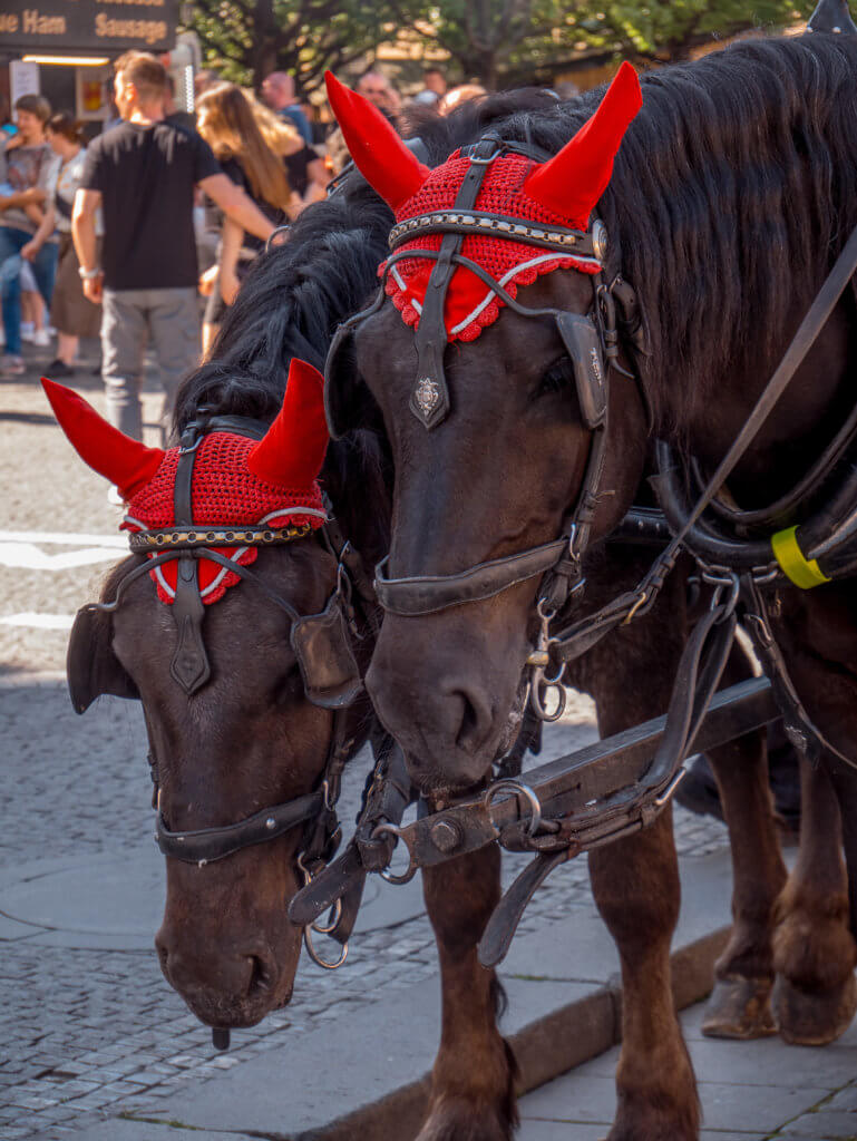Horses in Prague Old Town