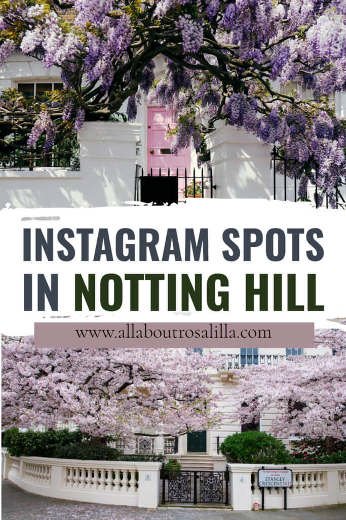 wisteria trees in Notting Hill with text overlay best instagram spots in Notting Hill