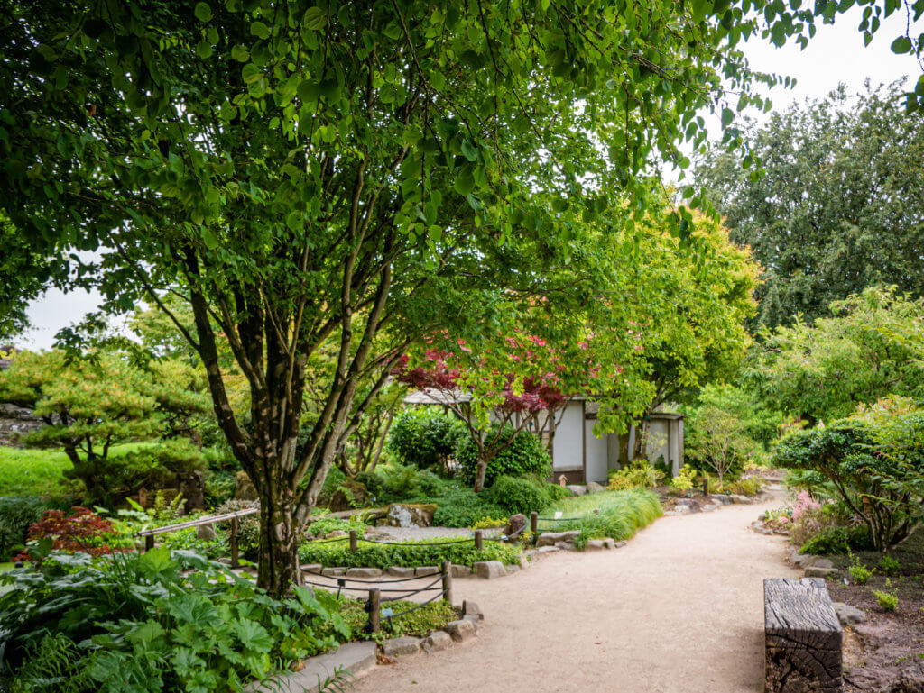 Garden path in the National Botanic Garden of Wales