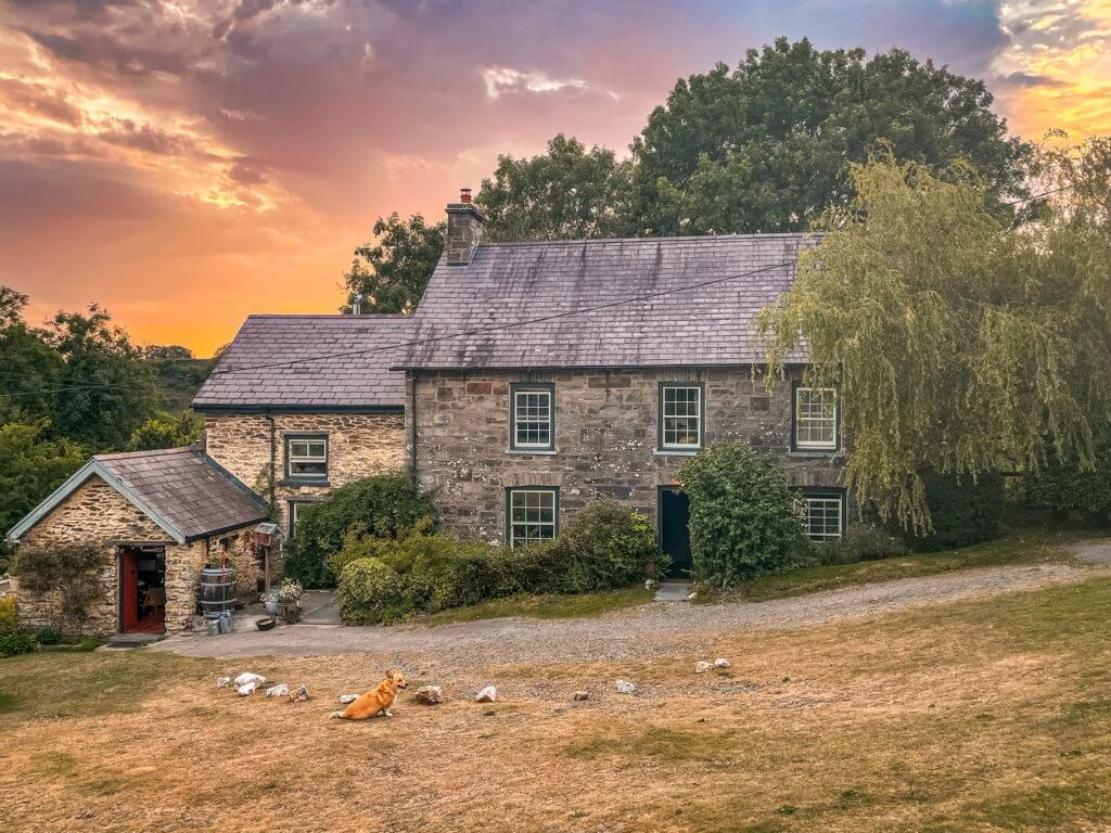 Nantgwynfaen Organic Farm in Llandysul West Wales