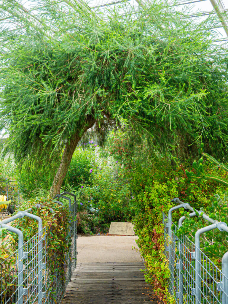 Walkway in the glasshouse at the National Botanic Garden of Wales