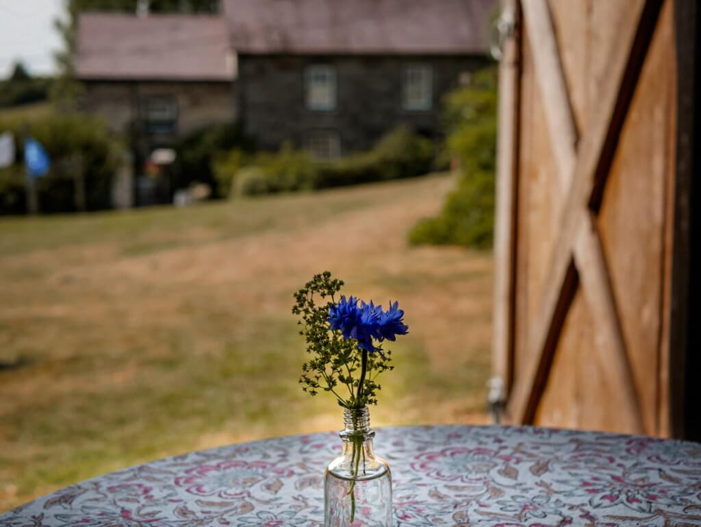 A vase containing a bunch of wildflowers
