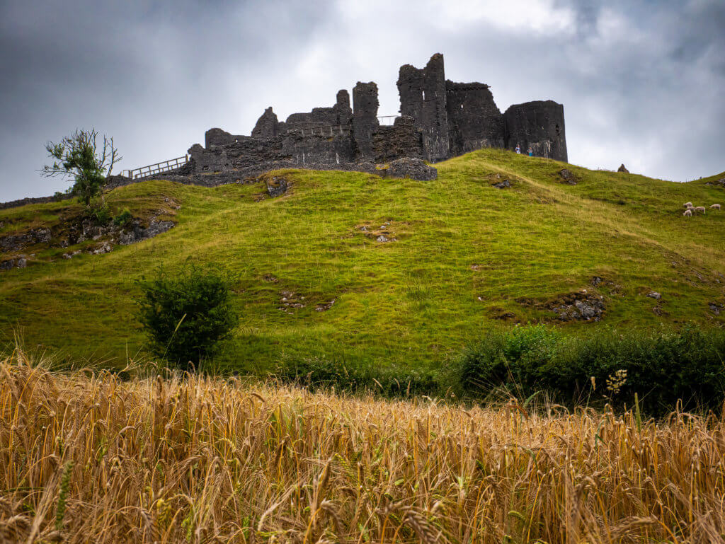 Carreg Cennan castle towering over a hay field