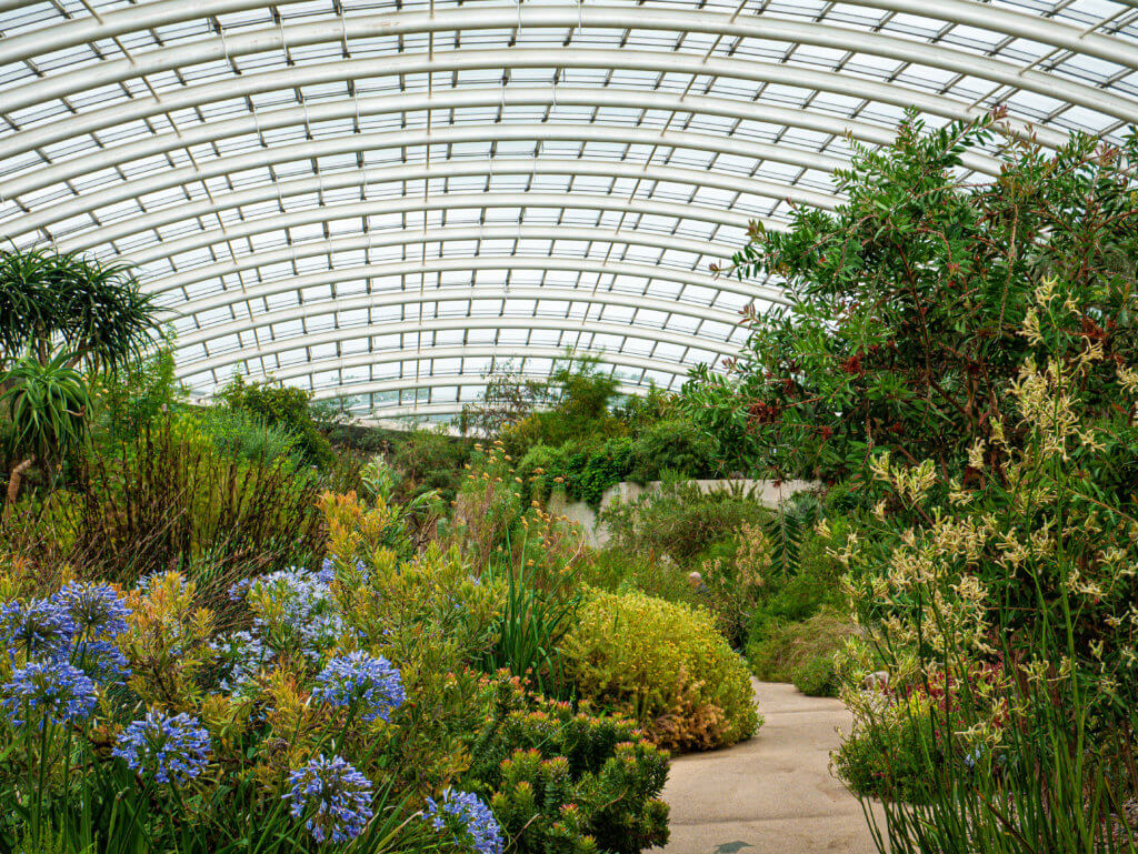 Interior of the glasshouse at the National Botanic Garden of Wales