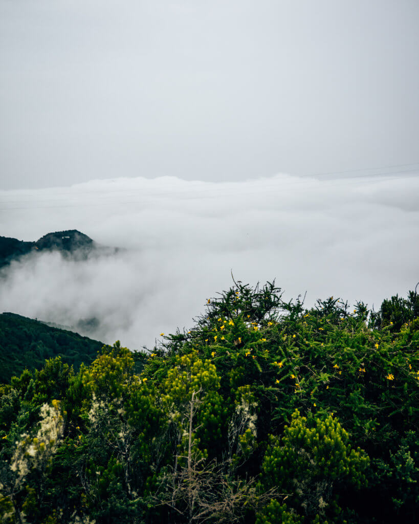 Tenerife landscape among clouds