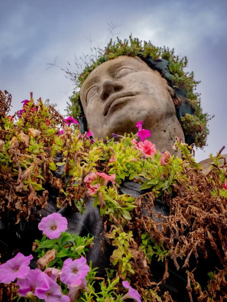 Sculpture made out of flowers and plants in Tenerife