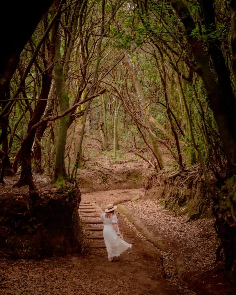 Woman in a white dress walking through the twisted laurel trees in Anaga Rural Park