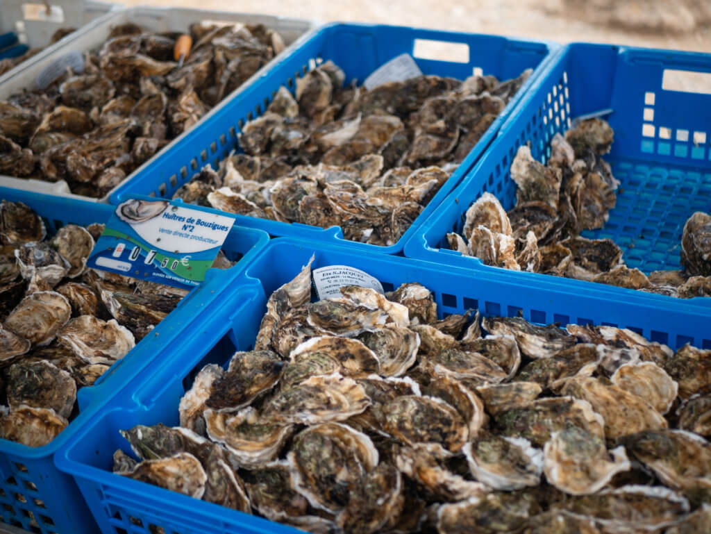 Oysters at the food market in Carcassonne France