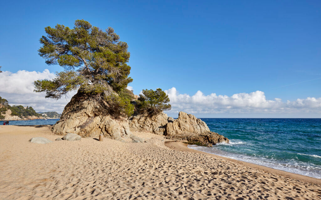 Cala Treumal Beach Lloret de Mar